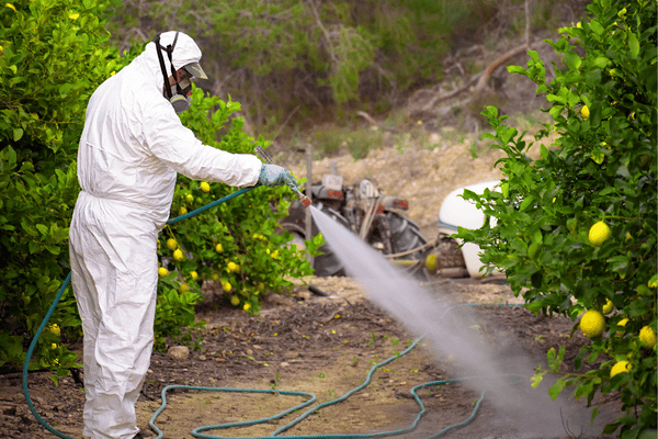 professione disinfestatore